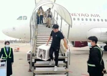 New Pet Flight Service: China’s First Pet Charter Flight Lands！