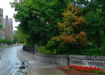 Chinese students cancel travel plan for the potential travel ban