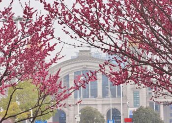 Multiple regions see rapid surge in temperatures, approach 30 ℃