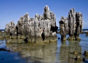 From May 1, Visa-Free for some Foreigners from this Country