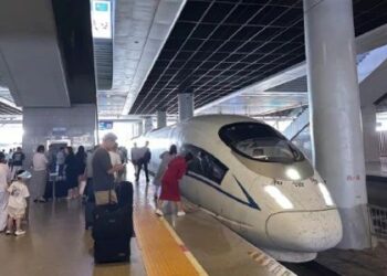 Someone Jumped onto the Railway Track & was Struck by a Train