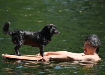 10 Provincial-Level Regions Brace Scorching 40+℃ Temperatures