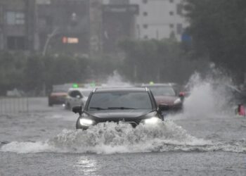 Typhoon Wipha Makes Landfall in Guangdong, Triggering Widespread Emergency Measures