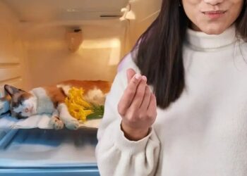 Pet owners splurge on psychics to communicate with dead animals？