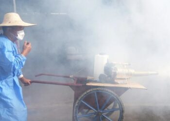 Guangdong Launches Anti-Mosquito Health Campaigns to Curb Chikungunya and Other Diseases