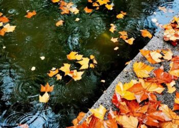 Potent Cold Front Sweeps Across China, Bringing Record Lows and Unseasonable Snow