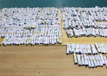 100,000+ Pregnant Women’s Blood Samples Smuggled Abroad to …