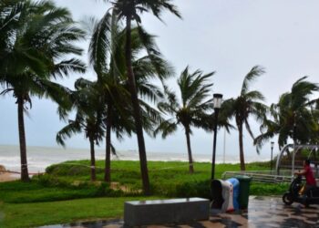 Updated News on Typhoon Maysak Impacting South China